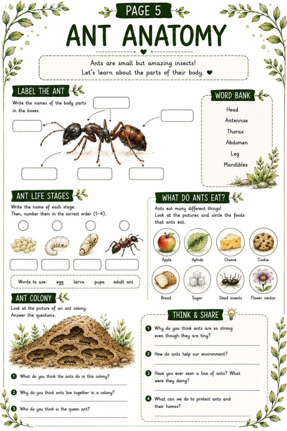 Ant Science Workbook for Kids – Printable PDF | Ages 11–12 - Image 2