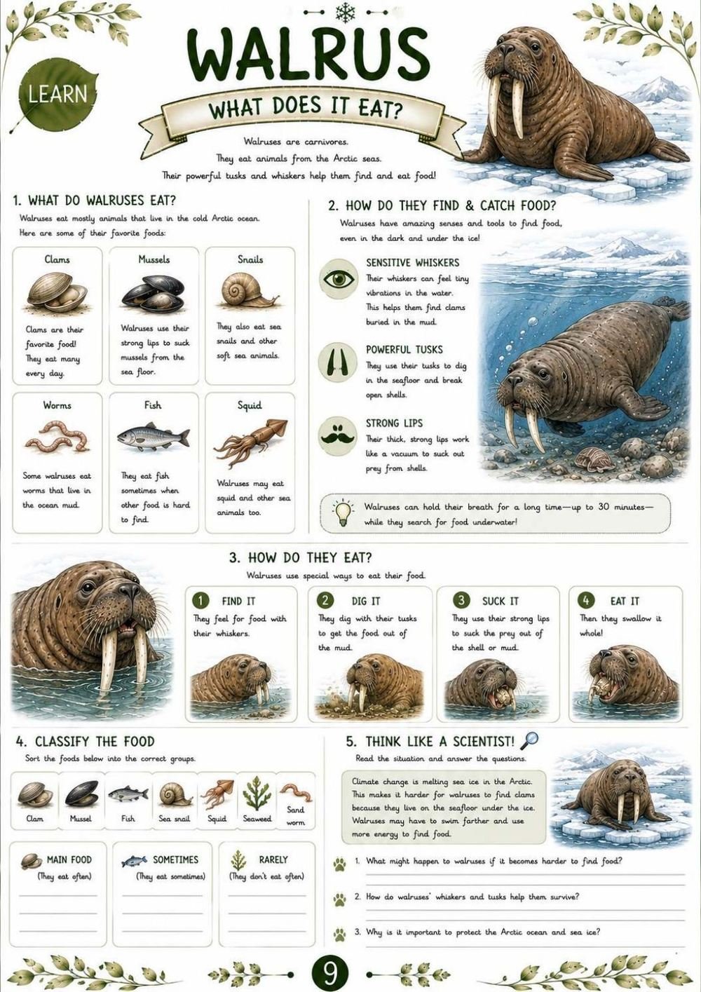 Walrus Science Workbook for Kids – Printable PDF | Ages 11–12 - Image 3