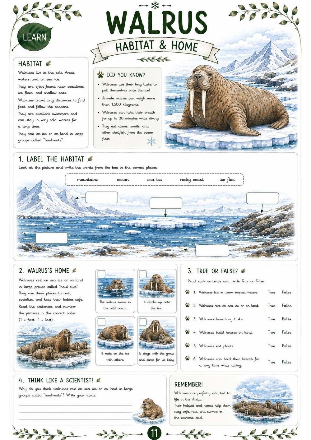 Walrus Science Workbook for Kids – Printable PDF | Ages 11–12 - Image 4