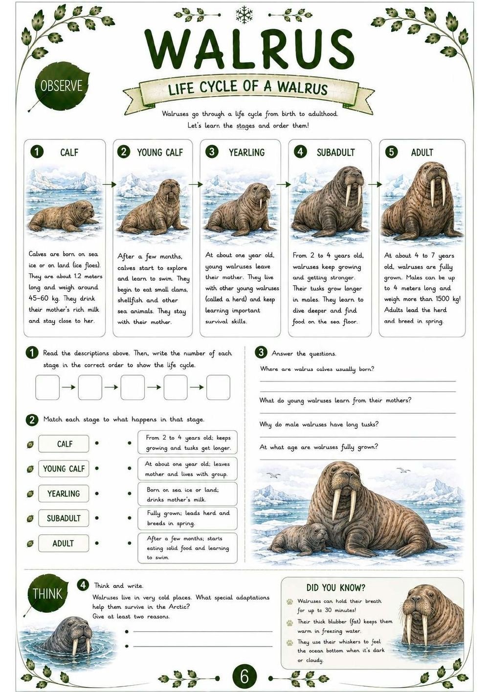 Walrus Science Workbook for Kids – Printable PDF | Ages 11–12 - Image 5