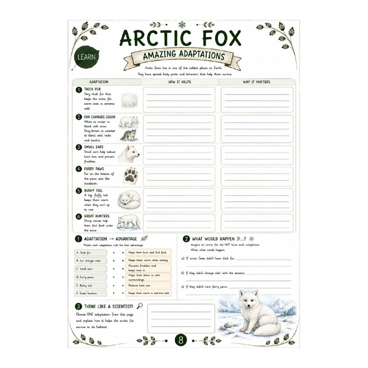 Arctic Fox Science Workbook for Kids – Printable PDF - Image 2