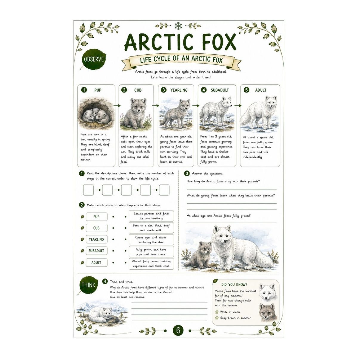 Arctic Fox Science Workbook for Kids – Printable PDF - Image 5