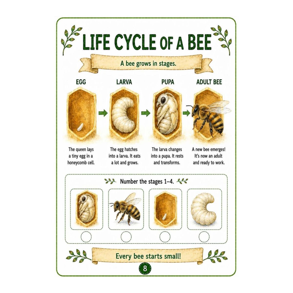 Bees Workbook for Kids – Printable PDF - Image 3
