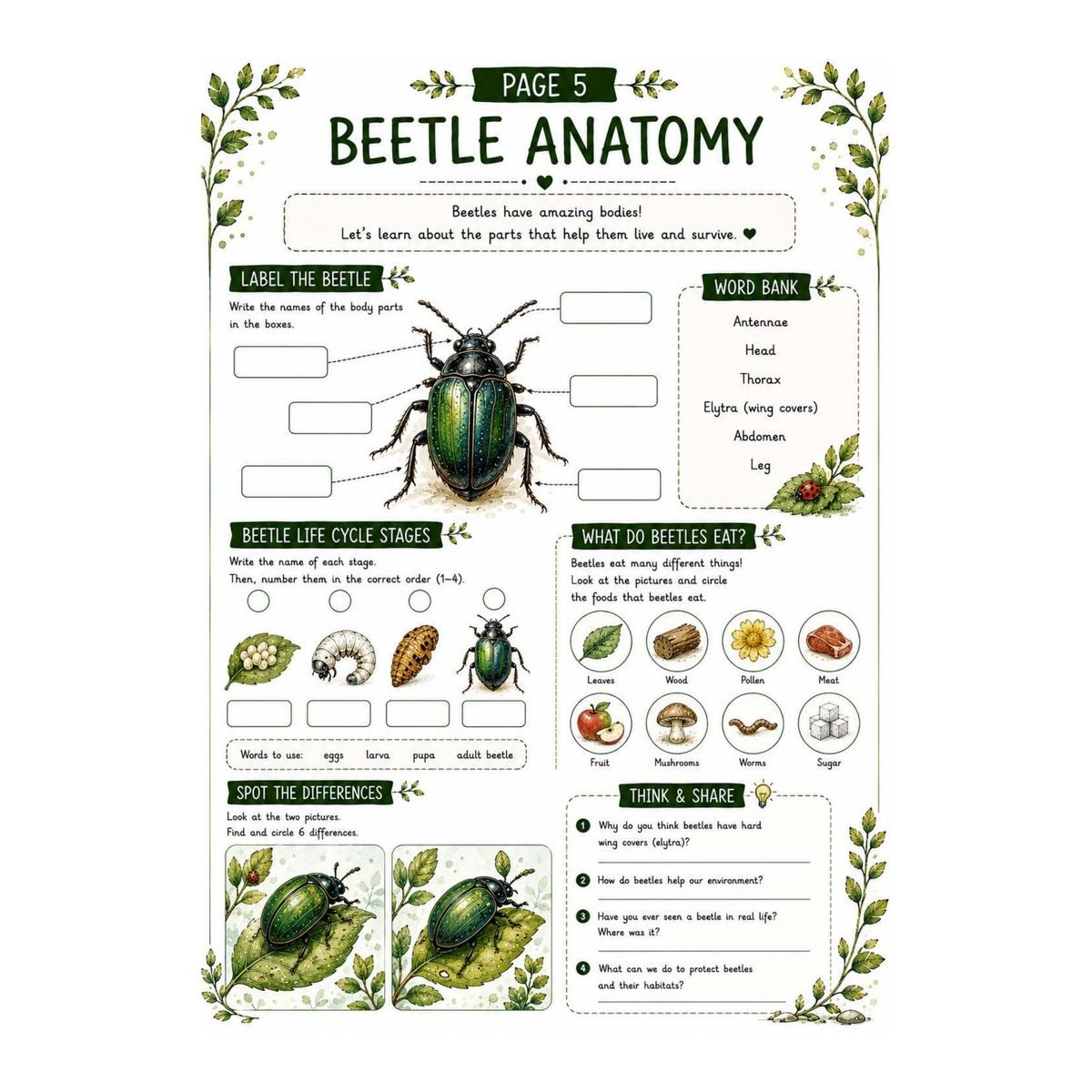 Beetle Science Workbook for Kids – Printable PDF - Image 2