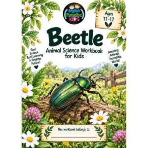beetle-science-workbook-for-kids