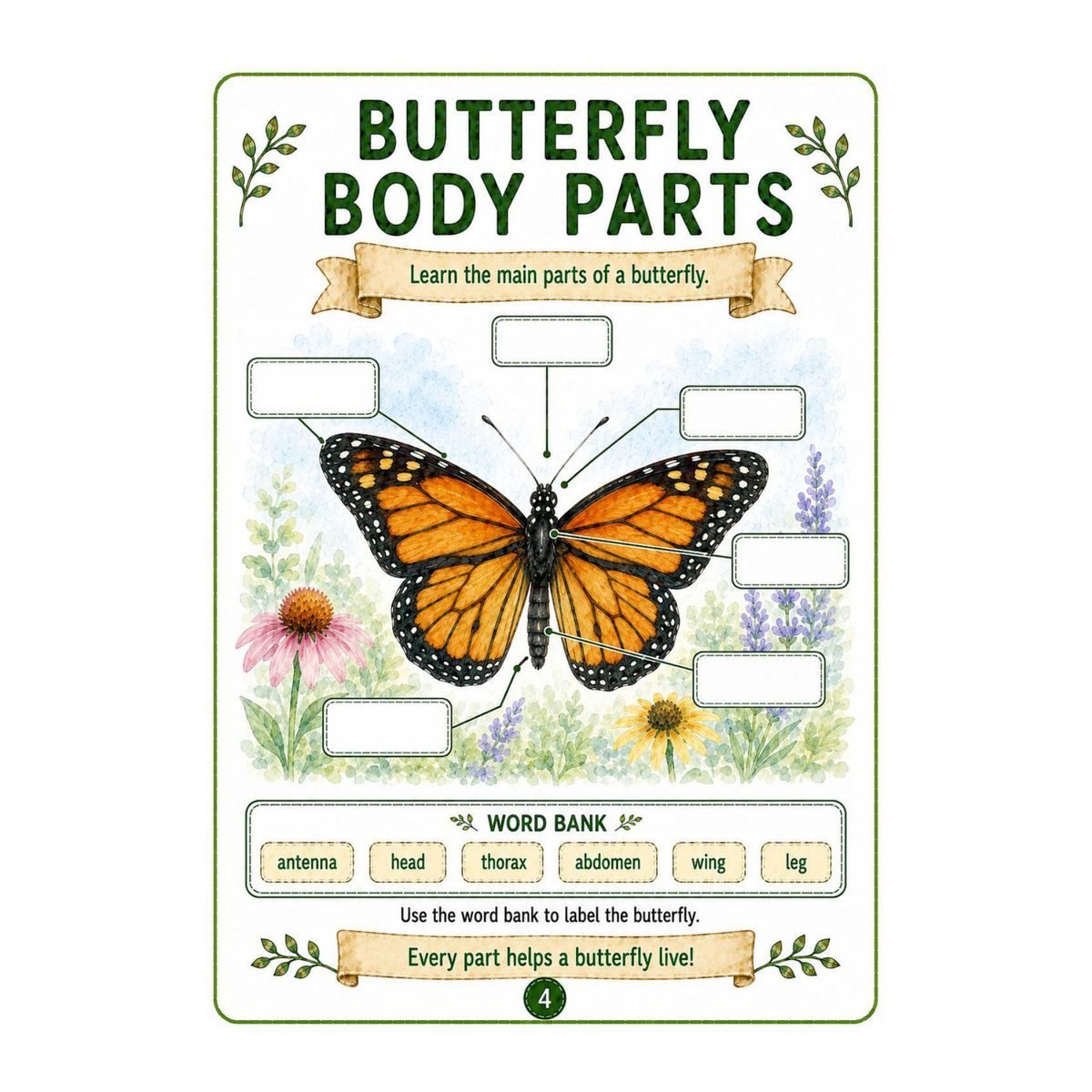 Butterflies Science Workbook for Kids – Printable PDF - Image 2