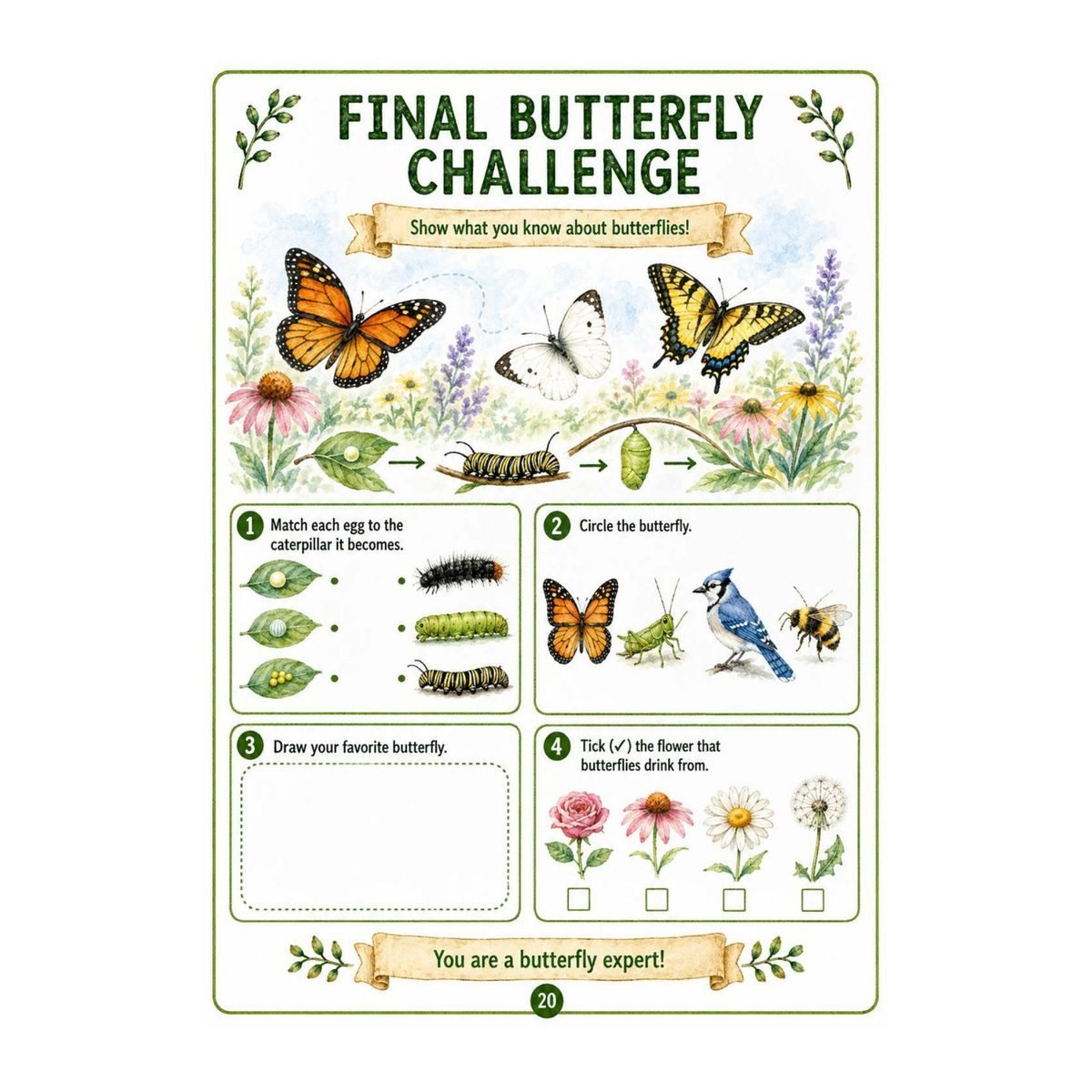 Butterflies Science Workbook for Kids – Printable PDF - Image 3