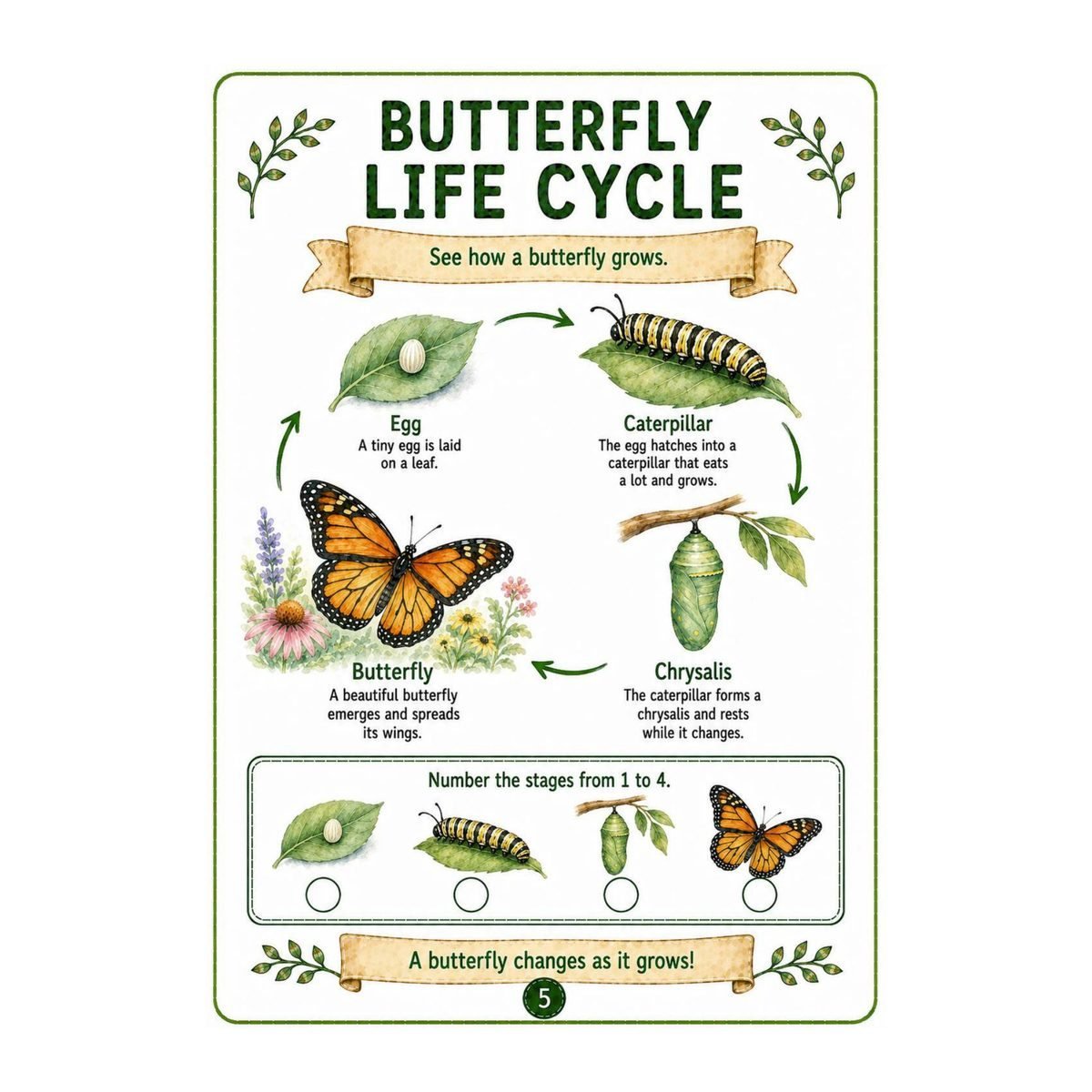 Butterflies Science Workbook for Kids – Printable PDF - Image 4