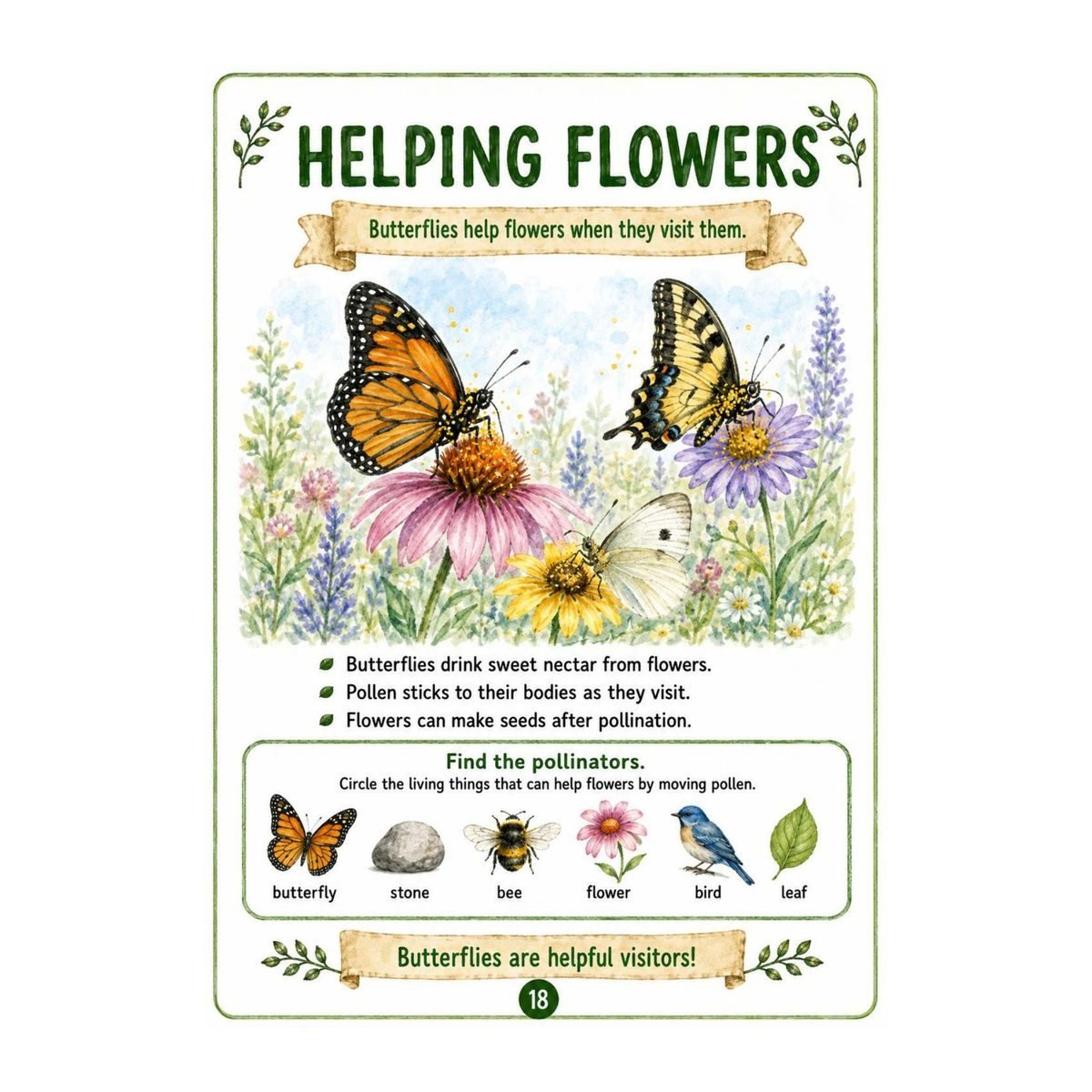 Butterflies Science Workbook for Kids – Printable PDF - Image 5