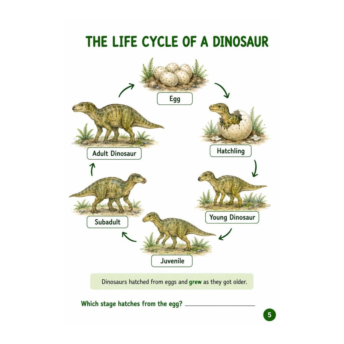 Dinosaurs Science Workbook for Kids – Printable PDF - Image 3