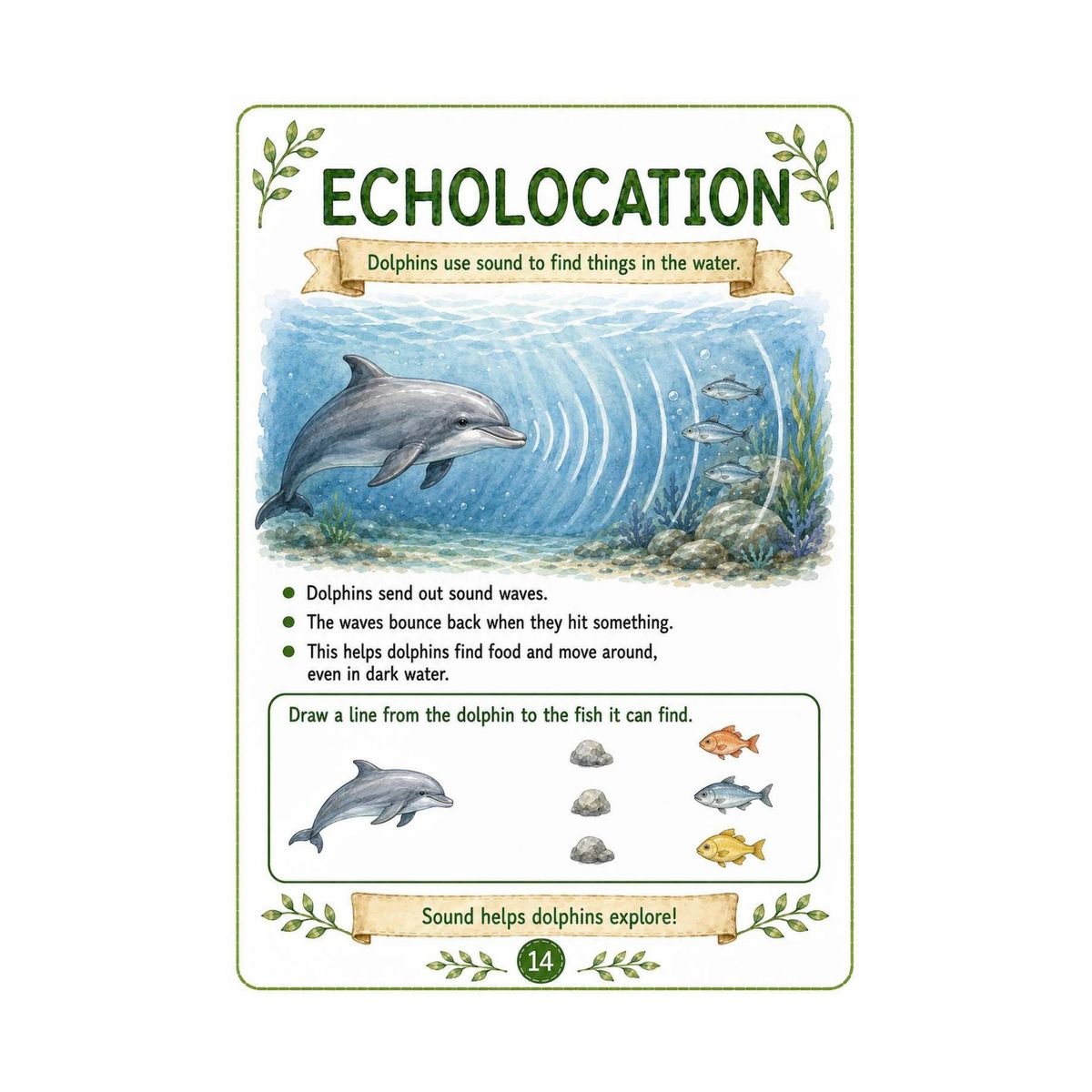 Dolphin Workbook for Kids – Printable Ocean Animal Activities PDF - Image 3