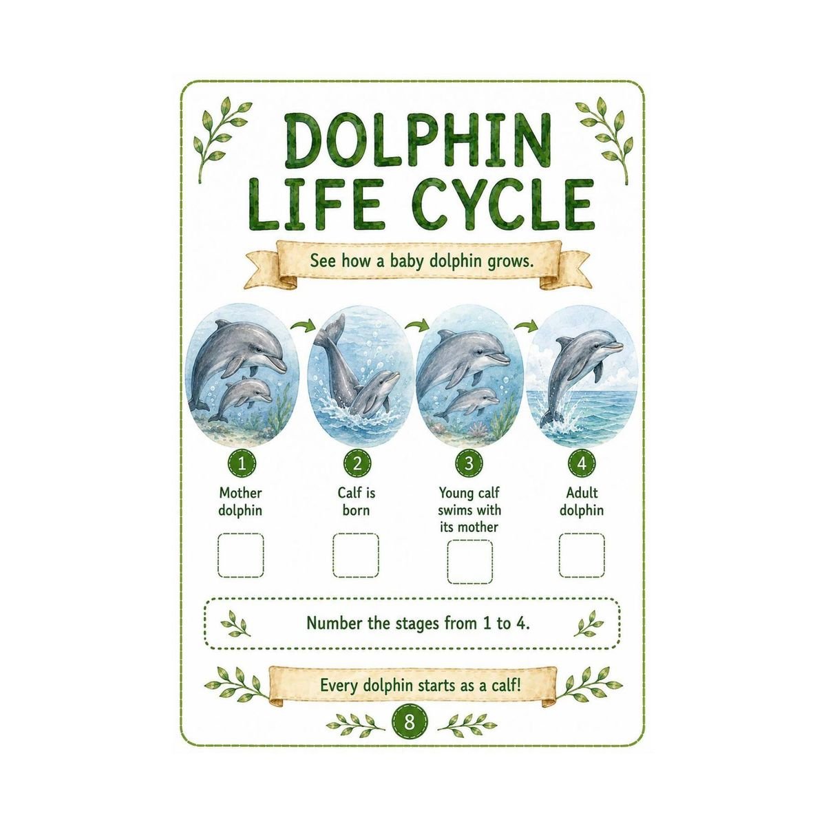 Dolphin Workbook for Kids – Printable Ocean Animal Activities PDF - Image 4