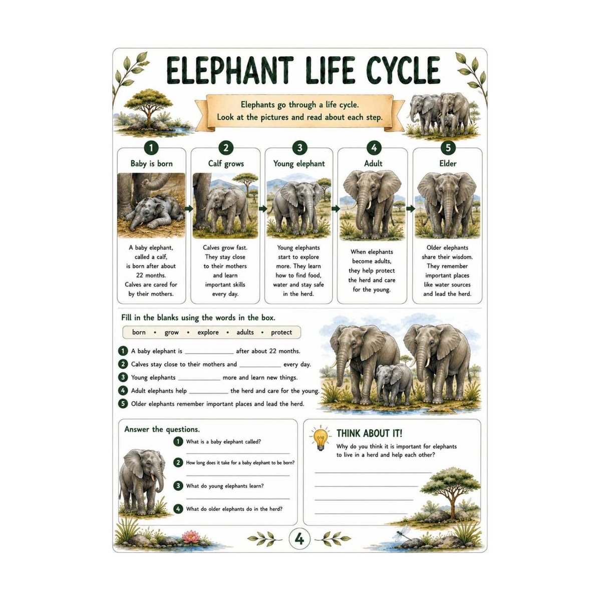 Elephant Science Workbook for Kids – Printable PDF - Image 3