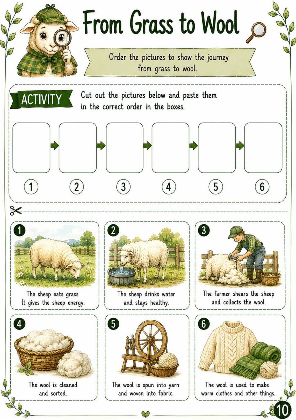 sheep-worksheet-from-grass-to-wool-for-kids