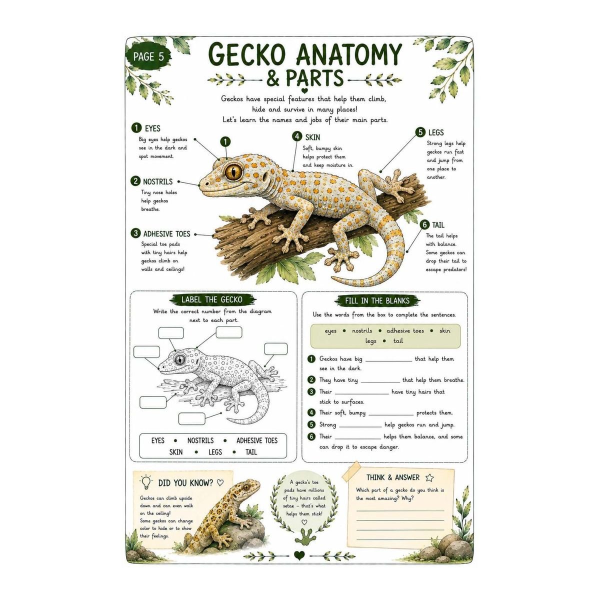 Gecko Science Workbook for Kids – Printable PDF - Image 3