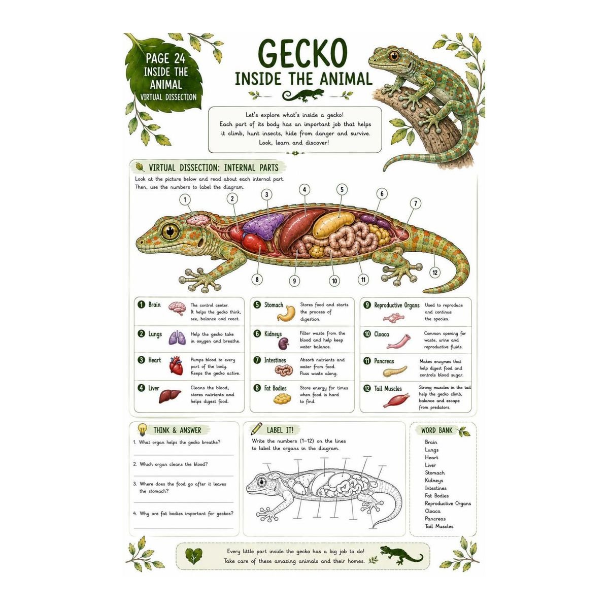 Gecko Science Workbook for Kids – Printable PDF - Image 4