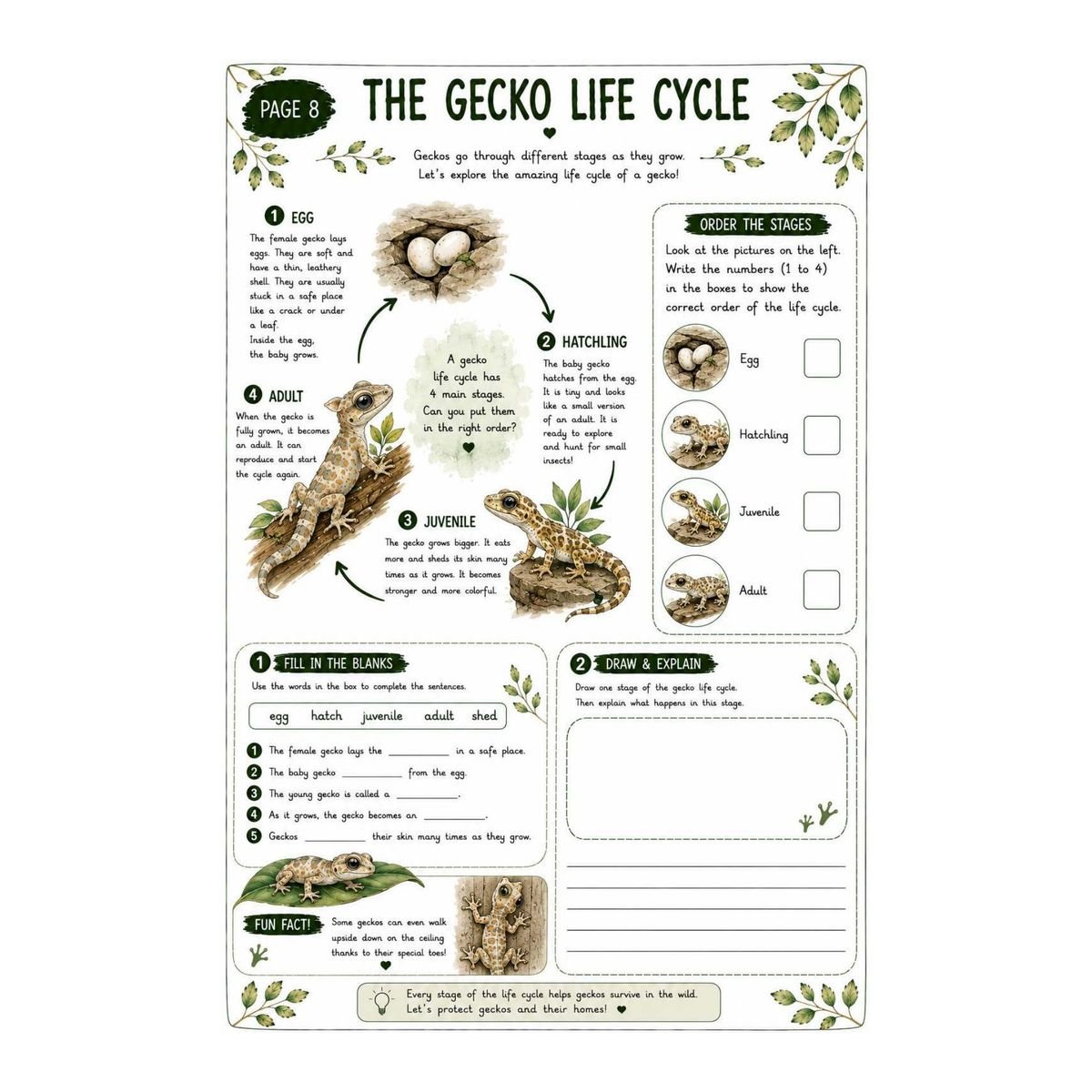 Gecko Science Workbook for Kids – Printable PDF - Image 5