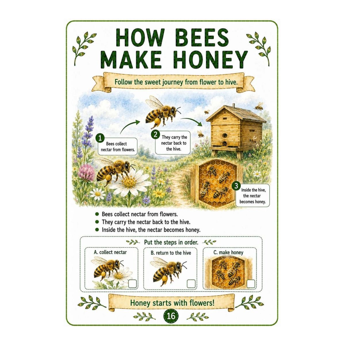 Bees Workbook for Kids – Printable PDF - Image 5