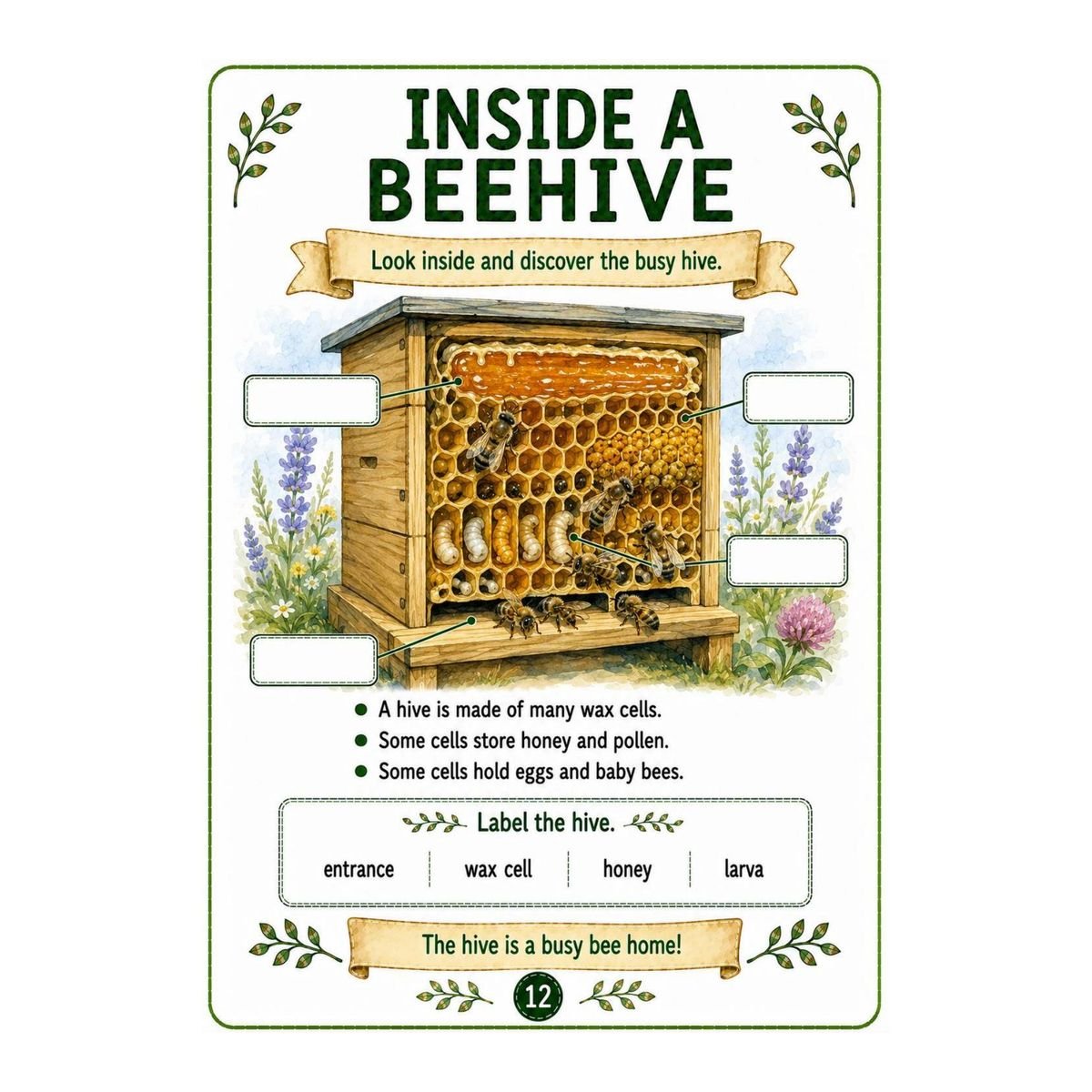 Bees Workbook for Kids – Printable PDF - Image 4