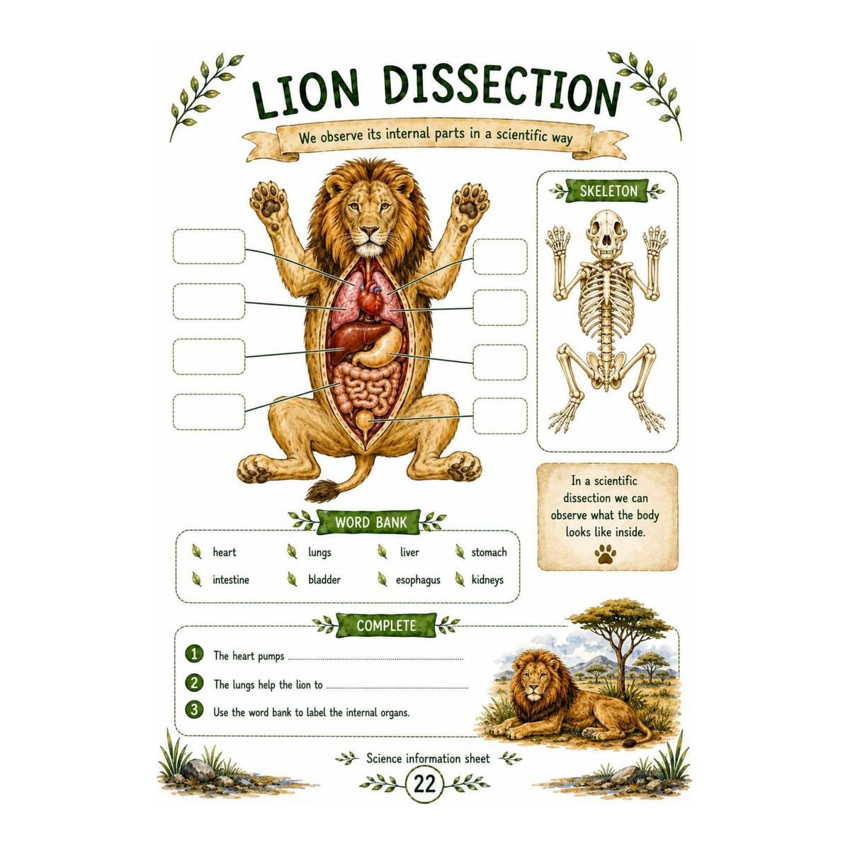 Lion Science Workbook for Kids – Printable PDF - Image 3