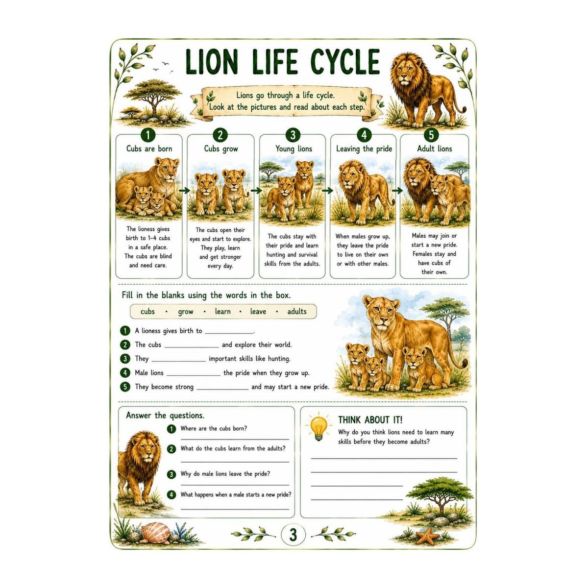 Lion Science Workbook for Kids – Printable PDF - Image 4