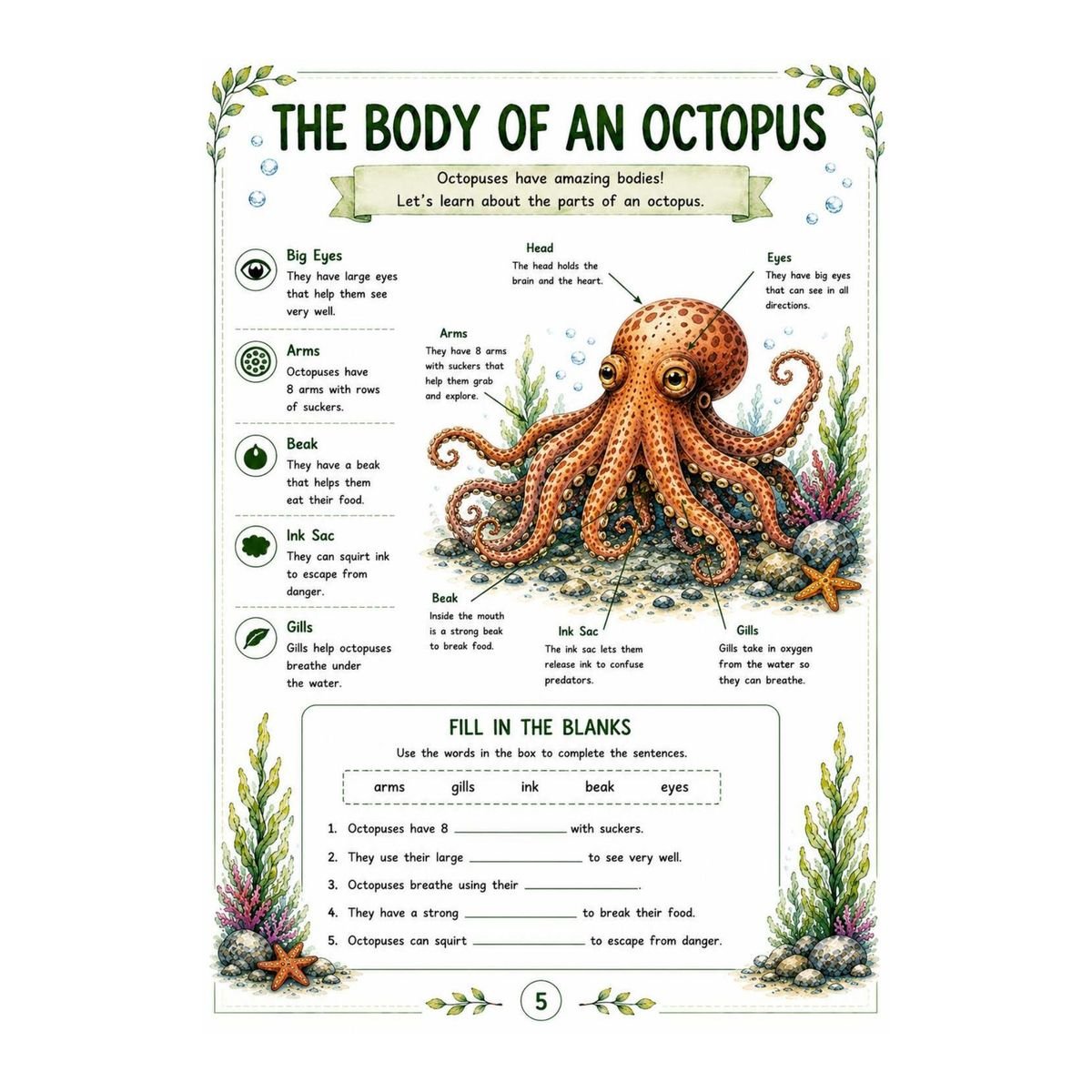 Octopus Workbook for Kids – Printable Ocean Animal Activities PDF - Image 3