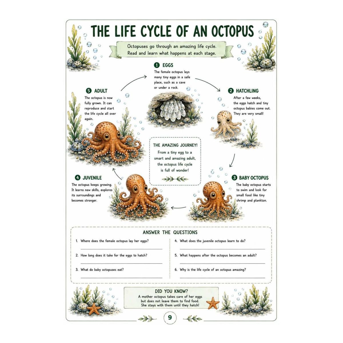 Octopus Workbook for Kids – Printable Ocean Animal Activities PDF - Image 4