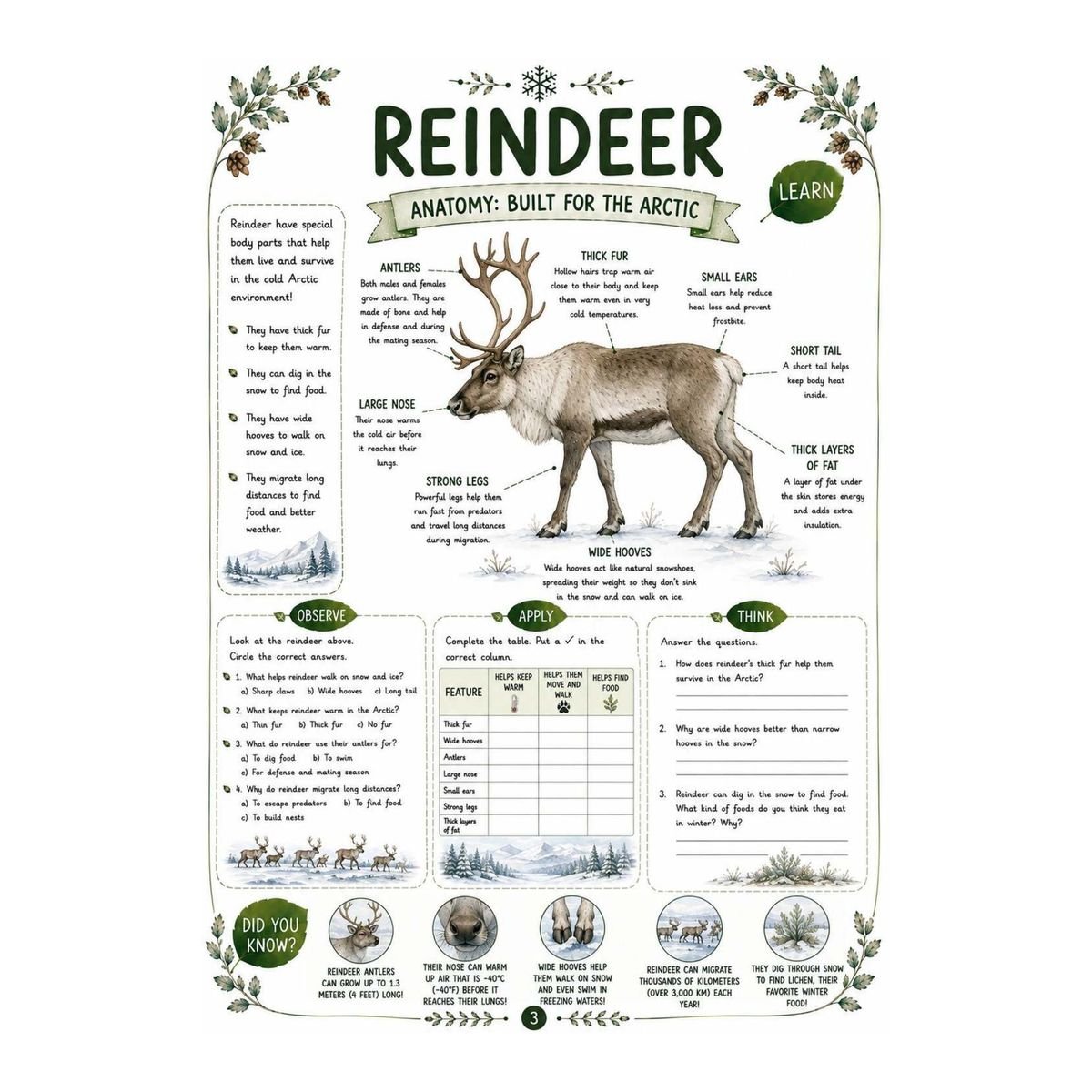 Reindeer Science Workbook for Kids – Printable PDF - Image 3