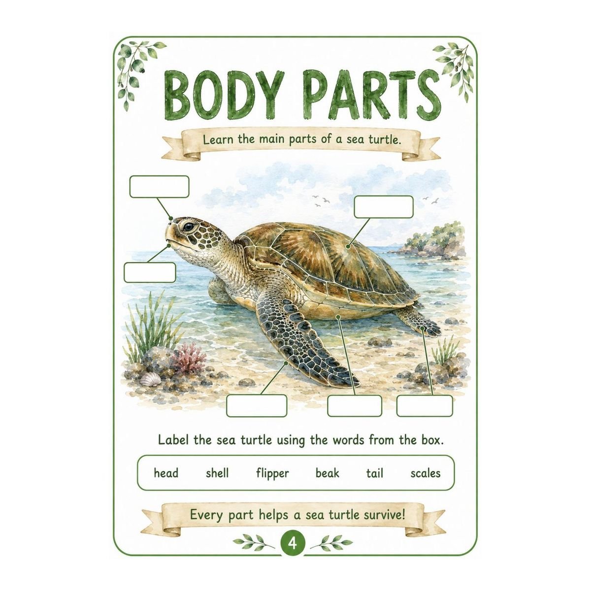 Sea Turtles Science Workbook for Kids – Printable PDF - Image 2