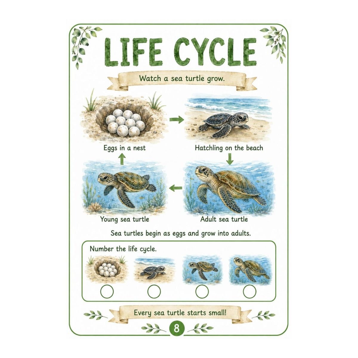 Sea Turtles Science Workbook for Kids – Printable PDF - Image 4