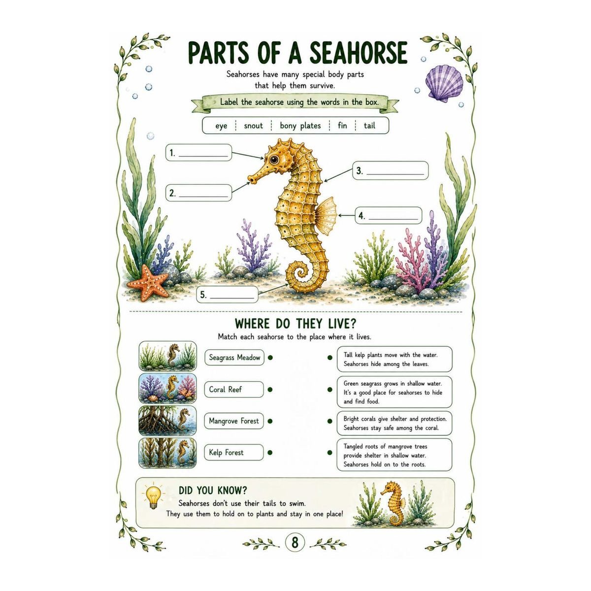 Seahorses Science Workbook for Kids – Printable PDF - Image 2