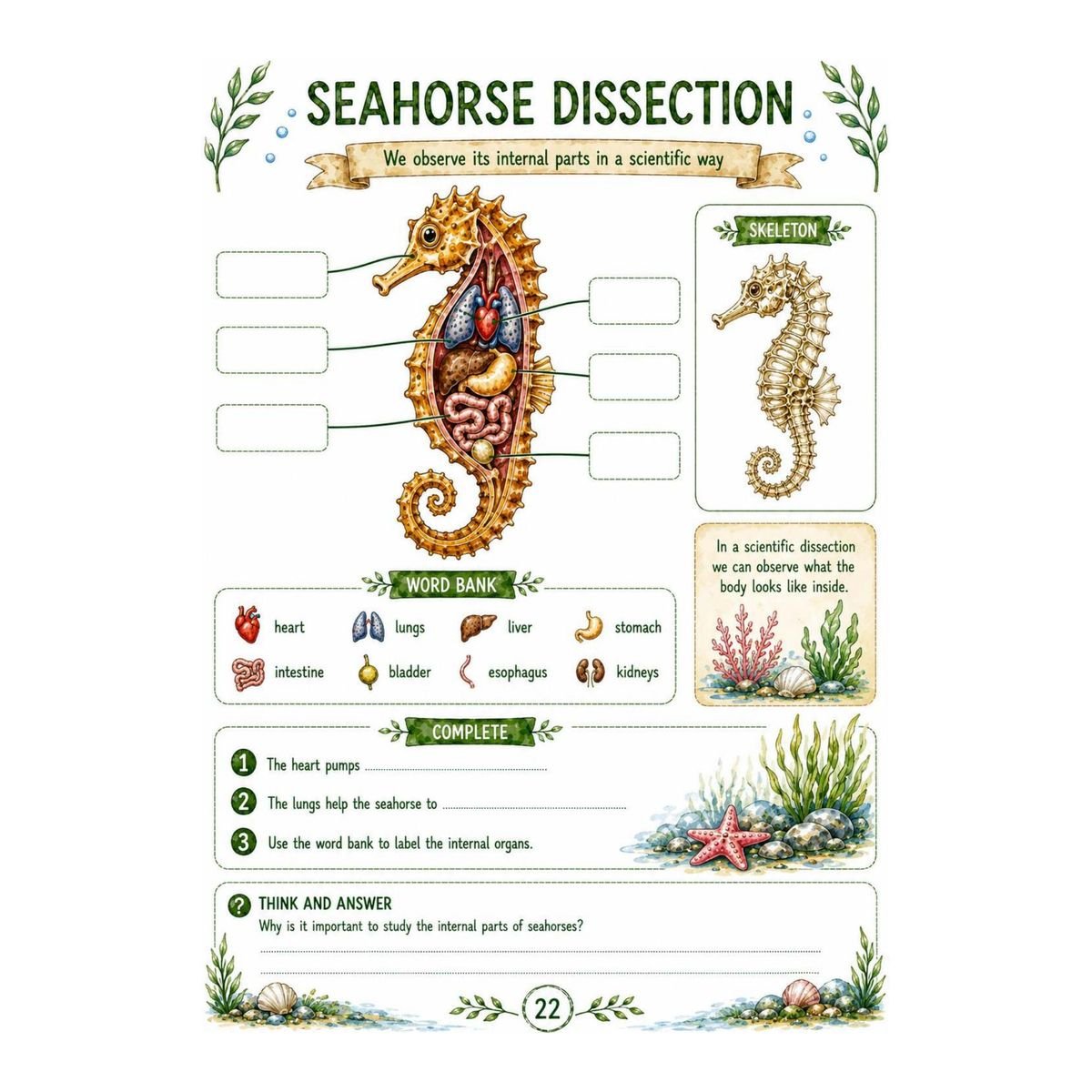 Seahorses Science Workbook for Kids – Printable PDF - Image 3