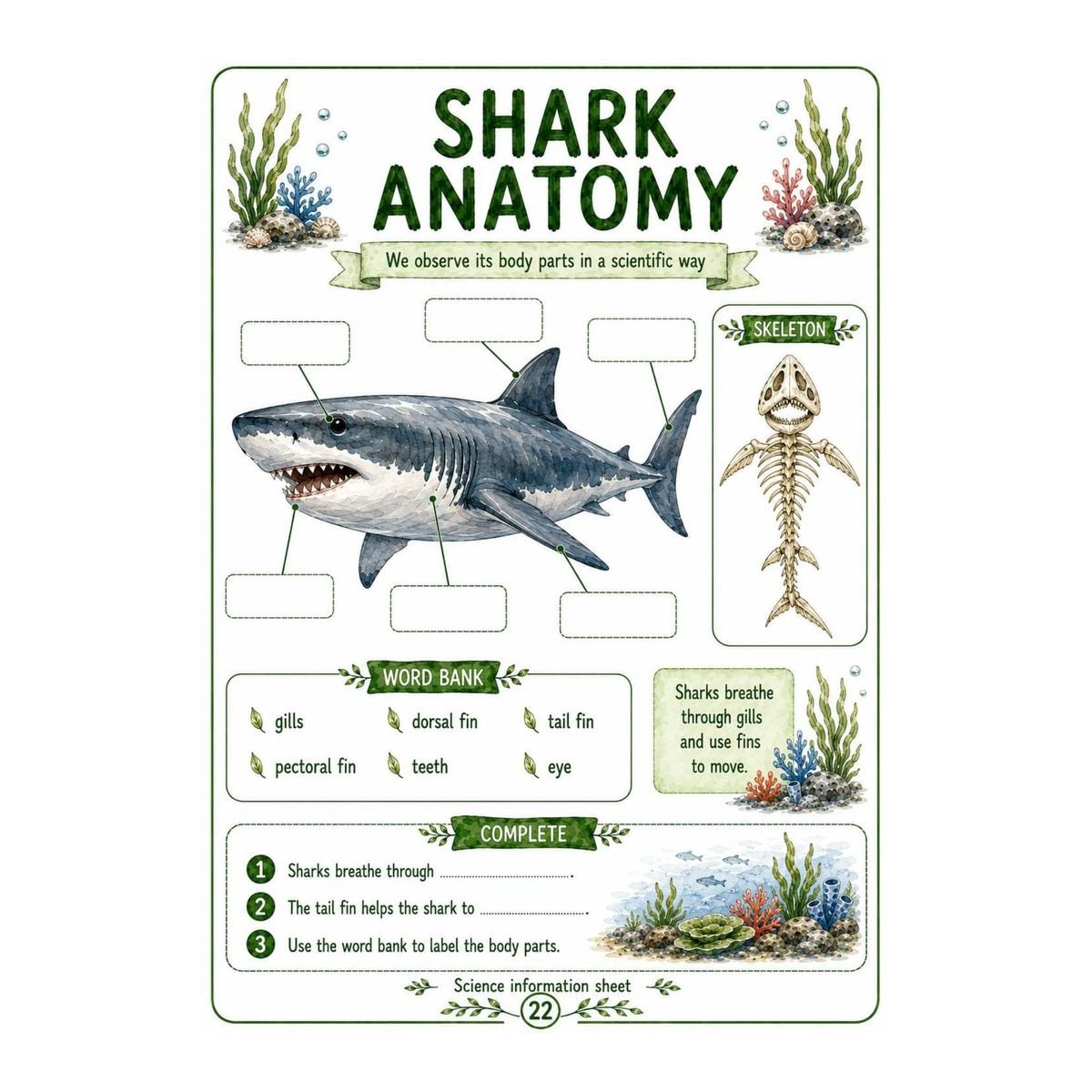 Shark Science Workbook for Kids – Printable PDF - Image 2