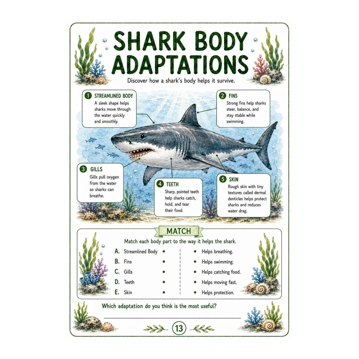 Shark Science Workbook for Kids – Printable PDF - Image 3