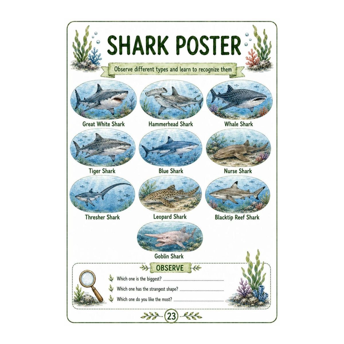 Shark Science Workbook for Kids – Printable PDF - Image 5