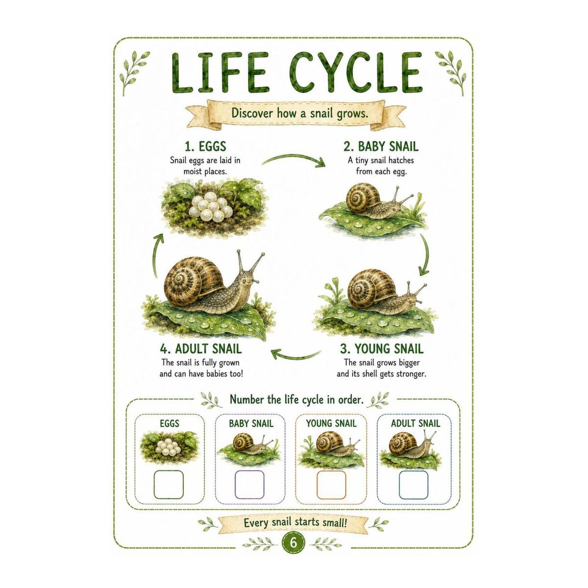 Snails Science Workbook for Kids – Printable PDF - Image 4