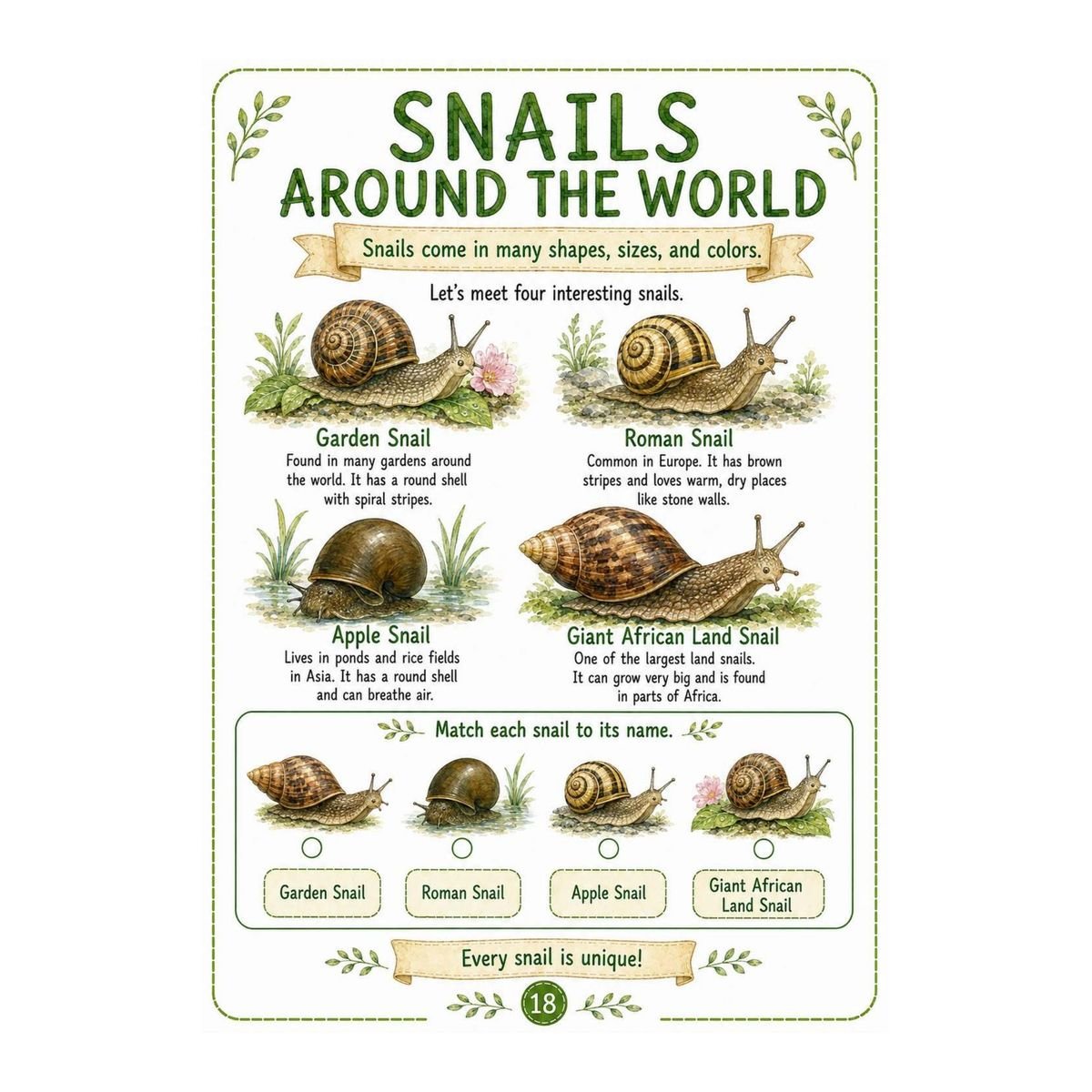 Snails Science Workbook for Kids – Printable PDF - Image 5