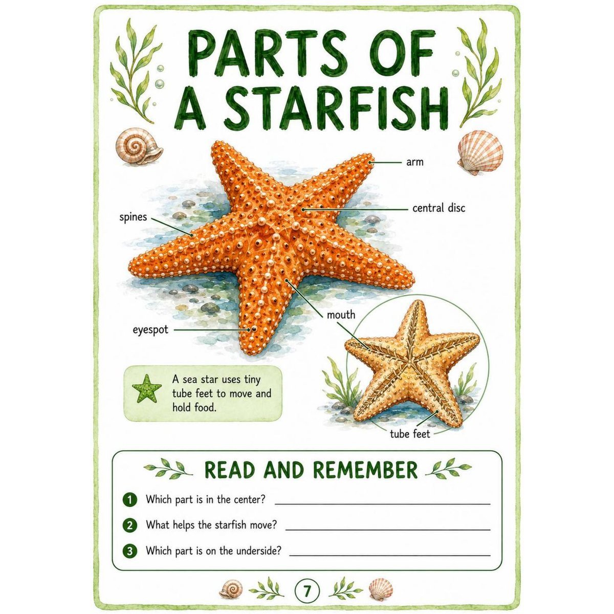 Starfish Science Workbook for Kids – Printable PDF | Ages 7–11 - Image 4