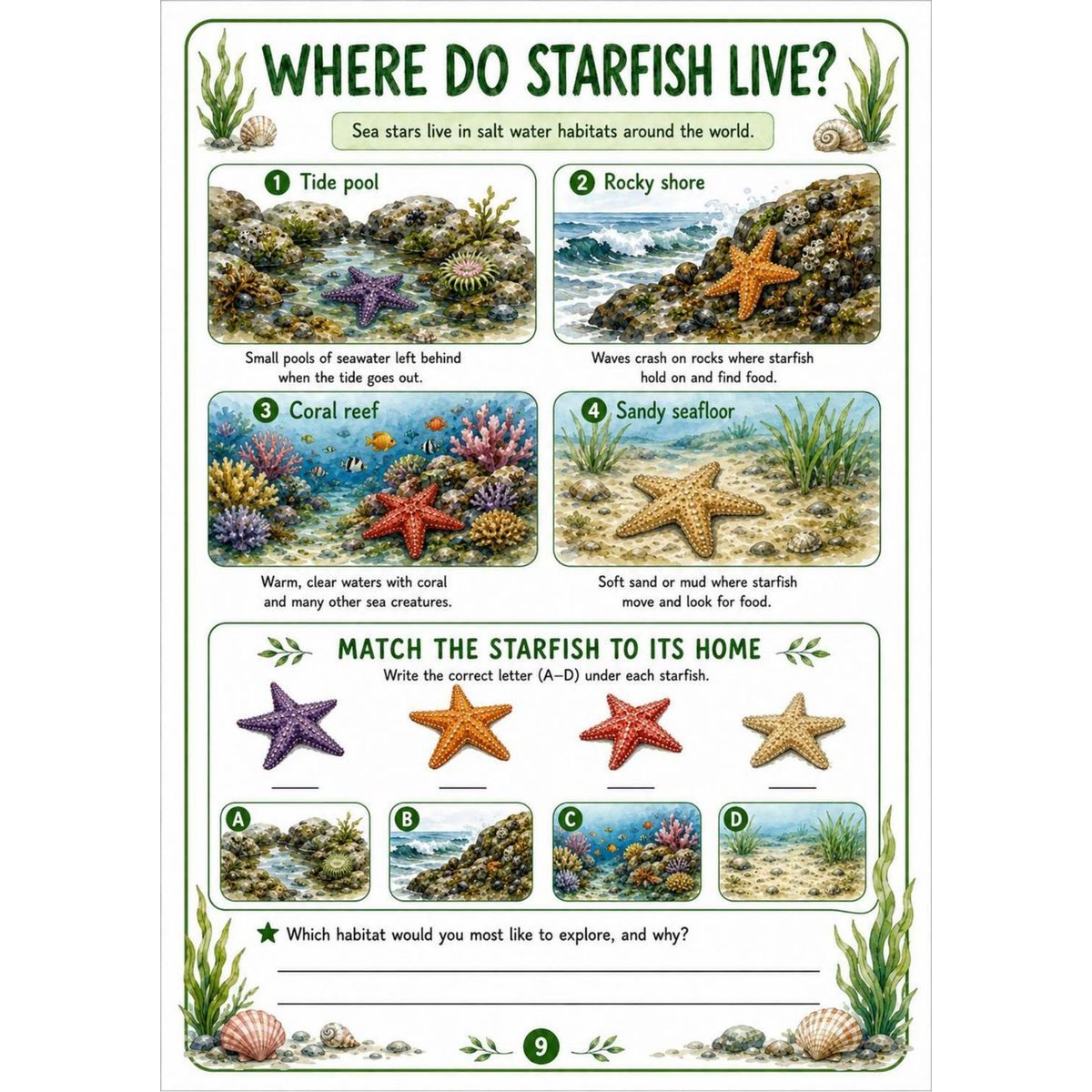Starfish Science Workbook for Kids – Printable PDF | Ages 7–11 - Image 5