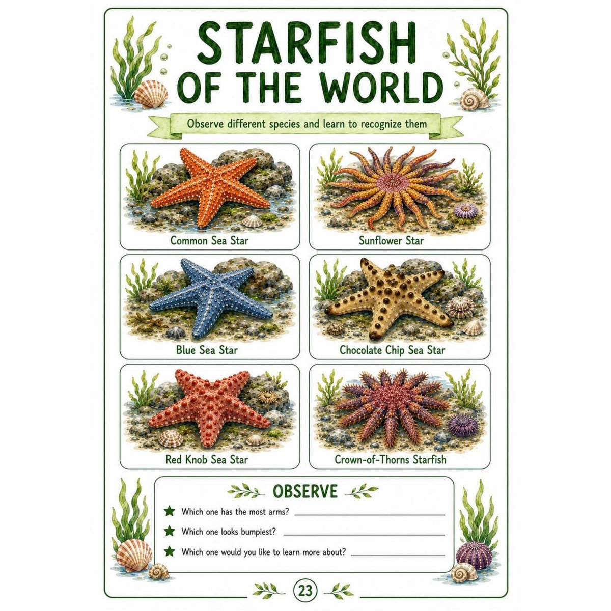 Starfish Science Workbook for Kids – Printable PDF | Ages 7–11 - Image 3