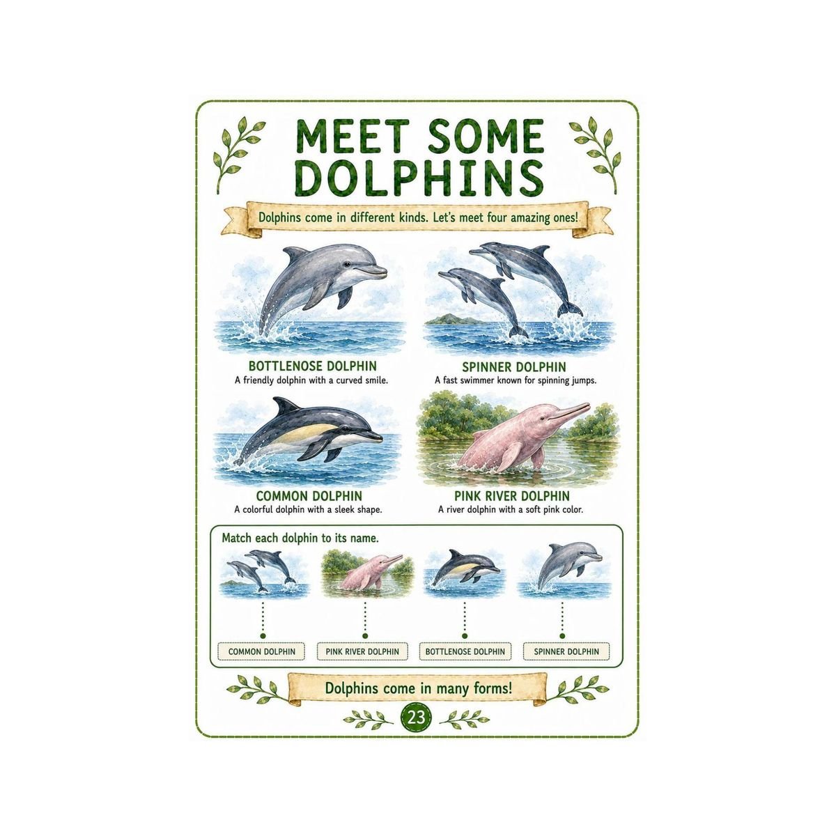 Dolphin Workbook for Kids – Printable Ocean Animal Activities PDF - Image 5
