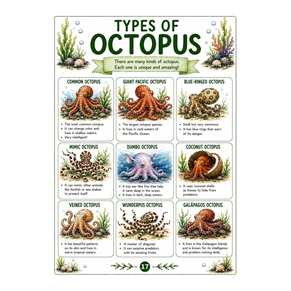 Octopus Workbook for Kids – Printable Ocean Animal Activities PDF - Image 5